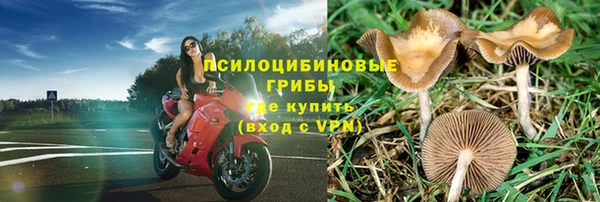 бошки Нефтегорск