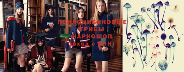 дурь Нефтекумск