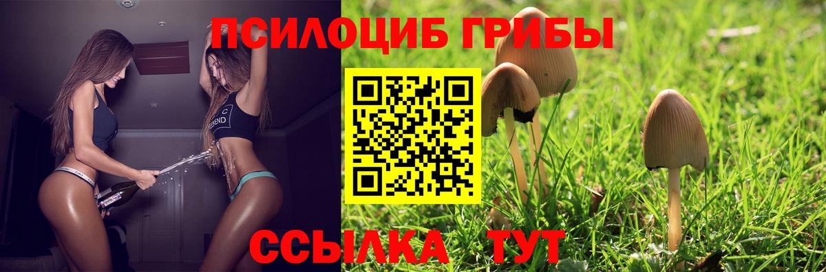Галлюциногенные грибы Cubensis Лабинск