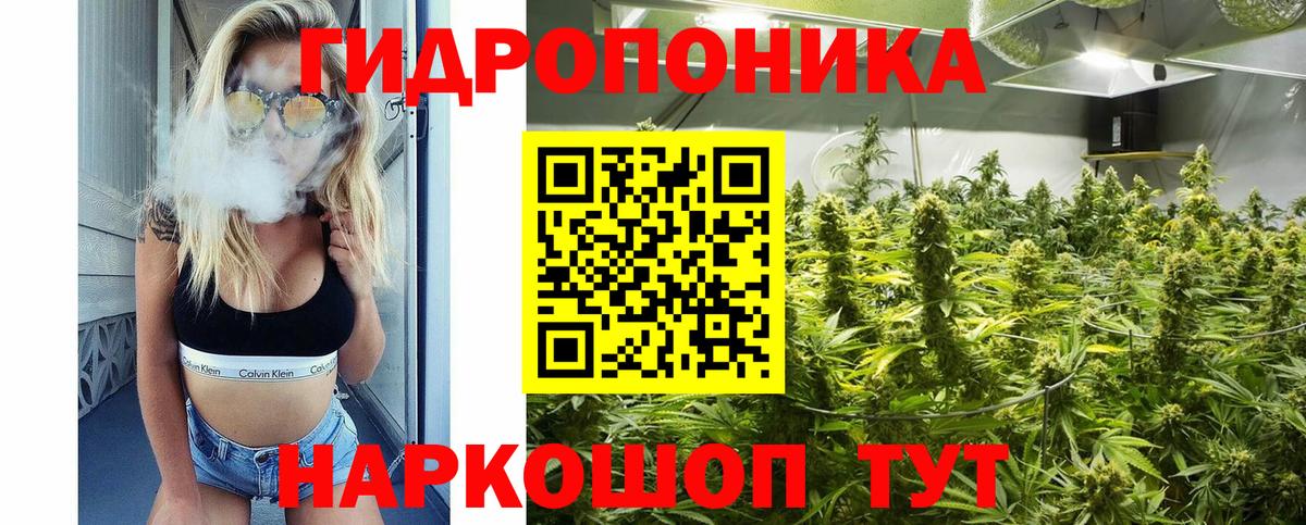 Бошки марихуана план Лабинск
